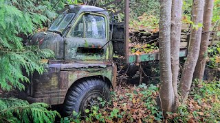 We Found an ABANDONED House with ExMilitary Trucks and Classic Cars [upl. by Irrep]