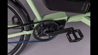 Hagen Bikes introduction to Brose S Mag controller [upl. by Glorianna]