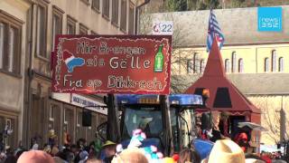 Diekirch carnival 2011 no comment [upl. by Wennerholn]