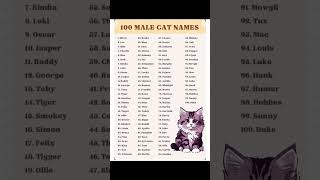 100 cats name all male cat name [upl. by Alamat531]