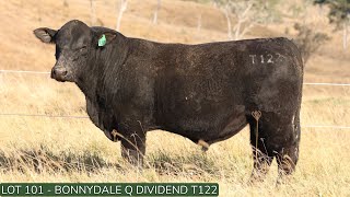 Lot101 Bonnydale Q T122 [upl. by Ramas]