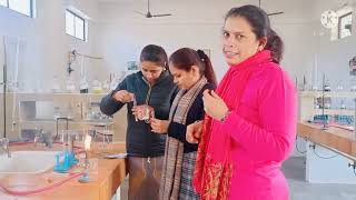 Adulteration in Food🫕Testing for Sugar🥣 Chilli🌶️ Turmeric🍠 and Milk 🥛 VALUE ADDED COURSE [upl. by Aratak30]