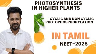 cyclic and non cyclic photophosphorylation in tamil  photosynthesis in higherplants NEET 2025 [upl. by Ahsekar424]