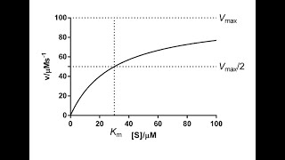 Enzyme kinetic michaelis menten and lineweaver burk plot بالعربي [upl. by Sola597]