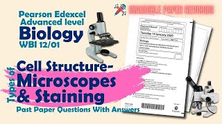 Microscope amp Staining Inaudible paper revision  Pearson Edexcel International A level biology [upl. by Quintie907]