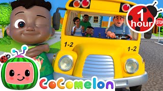 Wheels on the Bus 🚌 CoComelon  Its Cody Time  Nursery Rhymes and Kids Songs  After School Club [upl. by Carbo]