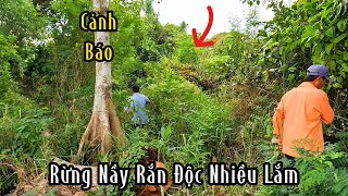 Chinh Phục Cặp Rắn Cực Độc Ở Khu Rừng Hoang Vắng  Mười Thương SB [upl. by Ewald358]