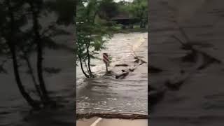 Crecida del río Anisacate en Córdoba [upl. by Mila]