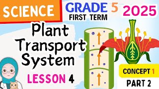 Science Grade5  Plant Transport System  Lesson4Part2  2025 ساينس خامسة ابتدائي المنهج الجديد [upl. by Ayardna759]