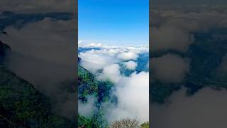 Mahabaleshwar This is Amazing Weather bloomsviralvideo tendding mahabaleshwar weatherbloosom [upl. by Ryhpez125]