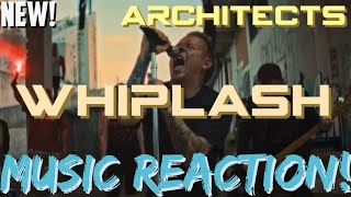 “WELCOME IN THE CROWD”🔥Architects  ‘Whiplash’New  Music Reaction🔥 [upl. by Gnah]