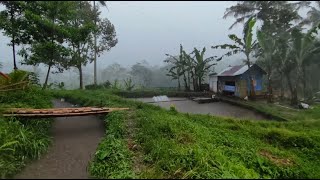 Suara Hujan Deras Di Jalan Persawahan Yang Menenangkan Hati [upl. by Cadmar364]