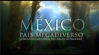 México País Megadiverso [upl. by Idna]