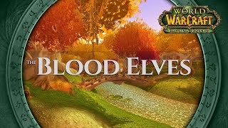 The Blood Elves  Music amp Ambience  World of Warcraft The Burning Crusade [upl. by Itsa]