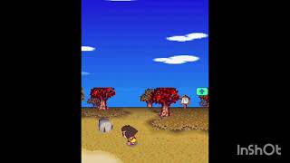 Animal Crossing Wild World gameplay [upl. by Yemrej]