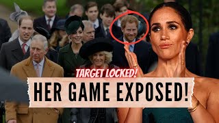 The Psychology of Meghan Markle A DEEP DIVE [upl. by Gratiana]