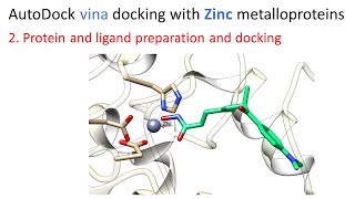 2 Protein and ligand preparation and docking  AutoDock vina docking with Zinc metalloproteins [upl. by Ahsenek]