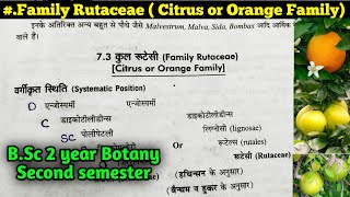 Family Rutaceae  Orange or Citrus Family  BSc 2nd year [upl. by Newcomer]