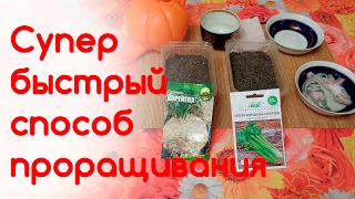 🥕Супер быстрый способ проращивания мелких семян сельдерея моркови лука петрушки фенхеля🍆 [upl. by Cutter]