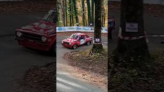 6° Lessinia Rally Historic 2024 SHOW amp CRASH  Prova Annullata [upl. by Dry]