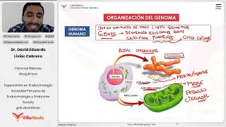 Genómica  Organización del genoma [upl. by Bing410]