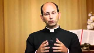 Padre Paulo Ricardo  Parresía  Fala sobre o PT [upl. by Orms342]