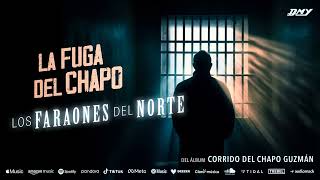 Los Faraones Del Norte  La Fuga Del Chapo Audio Oficial [upl. by Beall]