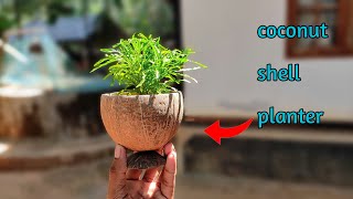 how to make a easy planter with coconut shell  home made planter Best out of waste [upl. by Atiras102]