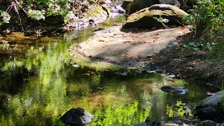 Water at Spahn Ranch [upl. by Godden]