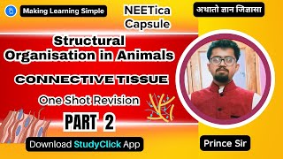 Structural Organisation in Animals  One Shot Revision  Connective Tissue  PART2  NCERT Class 11 [upl. by Ekle]