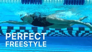 How To Swim Freestyle With Perfect Technique [upl. by Ruscio]