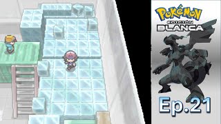 ¿QUÉ HABRÁ en los ALMACENES FRIGORÍFICOS POKEMON BLANCO Cutrigameplay sin comentarios [upl. by Akerehs535]