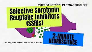 2Minute Neuroscience Selective Serotonin Reuptake Inhibitors SSRIs [upl. by Paviour240]