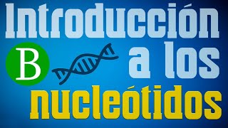 🧬 INTRODUCCIÓN A LOS NUCLEÓTIDOS Y ÁCIDOS NUCLEICOS  Biología desde cero [upl. by Halas]