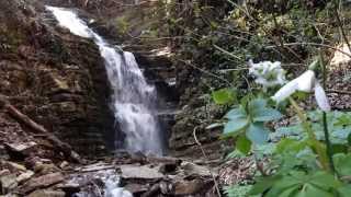 Calvello Pz  La cascata nei pressi della sorgente quotAcqua Sulfureaquot video Giovanni Larocca [upl. by Pascha665]