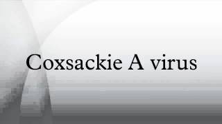 Coxsackie A virus [upl. by Turpin]