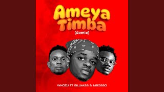 Ameyatimba Remix [upl. by Fasa]