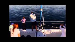 Blue Dolphin Cruise  Sunset Sail Dolphin amp Whale Watch Hervey Bay [upl. by Ami]