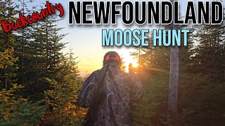 Successful Moose Hunt Newfoundland 2024 3 Generations of Hunters [upl. by Hgielrak]