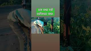 ମୋ ନାଗ ମଣି କୌଆଡେ ଗଲା Mo naga mani koadegala nali topa [upl. by Amal965]