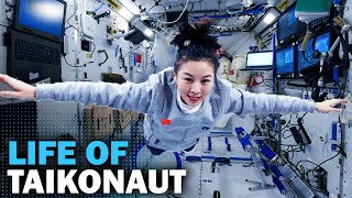 Life Inside New China Space Station [upl. by Elvis]