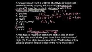 Linkage and recombination [upl. by Enyamrahc]