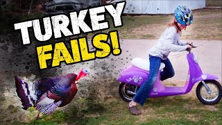 Jerky Turkeys  Thanksgiving Fails  Funny TBF Videos 2019 [upl. by Rolo]