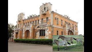 Нашёл артефакт Лошадь Пржевальского была объезжена в городе Бийске Алтайского края [upl. by Towny]