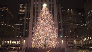 El árbol del Rockefeller Center inaugura la Navidad en Nueva York [upl. by Wolpert]