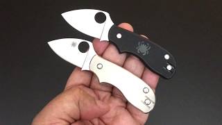 Spyderco Squeak The Knife of the Day [upl. by Daegal]