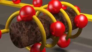 Inductors and Inductance [upl. by Blanchard]