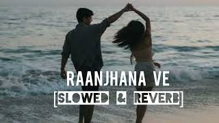 RAANJHANA VE  Slowed reverb Hindi song🎵🎵  update 2024 [upl. by Finny]