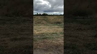 Warners pumpkin patch hay ride [upl. by Keifer]