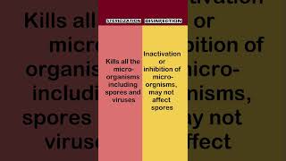 Stérilisation vs Disinfectantion [upl. by Stutzman630]